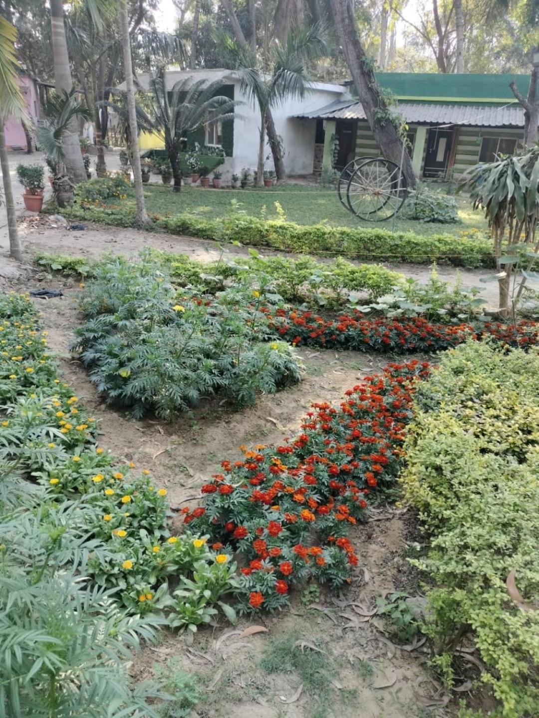 Lucky Beach Resorts , Balasore Chandipur Exterior foto
